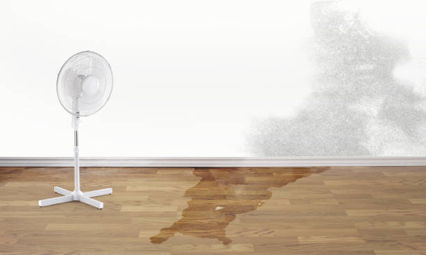 Best Ceiling water damage repair  in Grundy, VA