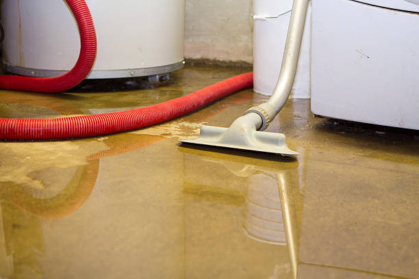 Best Water damage contractors near me  in Grundy, VA