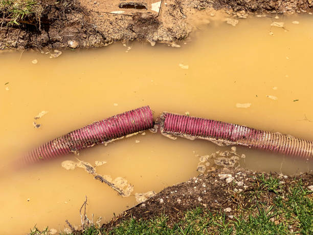 Best Water damage contractors near me  in Grundy, VA